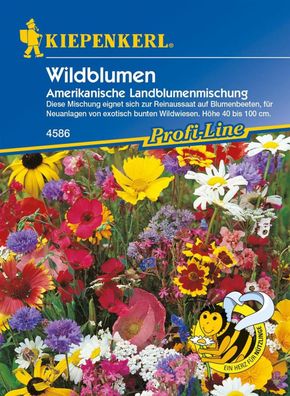 Wildblumen, Amerikanische Landblumenmischung