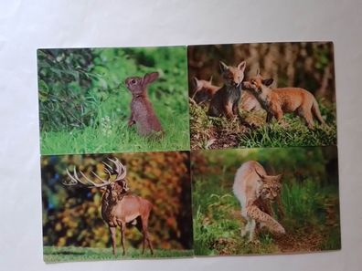 3 D Ansichtskarte Waldtiere Postkarte Wackelkarte Hologrammkarte Tier Waldtier Fuchs