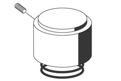SCHELL Betätigungshaube, Druckfeder für WC-Druckspüler Edition, chrom 230460699