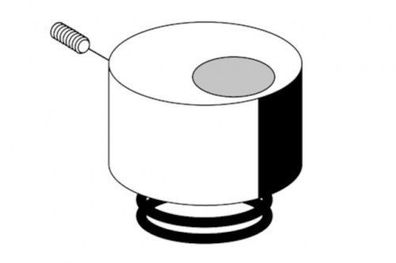 SCHELL Betätigungshaube, Druckfeder für WC-Druckspüler SILENT ECO, chrom 2304206