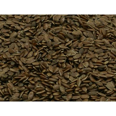 Leinsamen Samen - 100g - Gewürze im Glas - Ganze Samen - Premium Qualität
