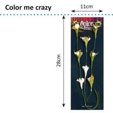 Petaloo | Color me crazy flowering vine spray