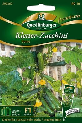 Kletter-Zucchini Quine