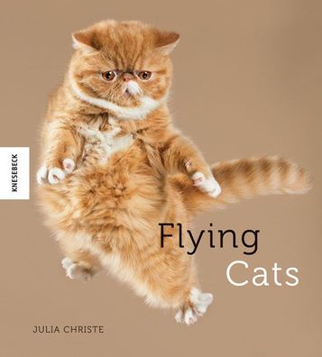 Flying Cats: Katzen in der Luft ? originelle Fotos grandioser Katzen-Spr?ng ...