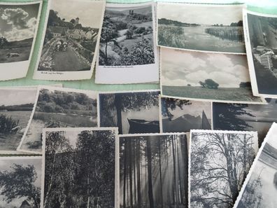 alte Postkarten AK D.T.V. DTV Echt Photographie schwarz-weiss Natur Bäume & - Auswahl