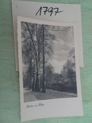 alte Postkarten AK "Fahne" schwarz-weiss Natur Bäume & - Auswahl