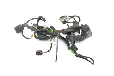 Audi A6 4F Kabelbaum Tür Türkabelbaum ZV hinten links 4F1971693G