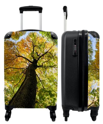 Koffer - Handgepäck - Bäume - Herbst - Grün - Baumrinde - Trolley - Rollkoffer -