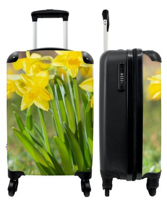 Koffer - Handgepäck - Blumen - Narzisse - Gelb - Frühling - Trolley - Rollkoffer -