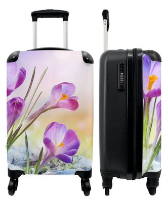 Koffer - Handgepäck - Blumen - Schnee - Frühling - Lila - Krokus - Trolley -