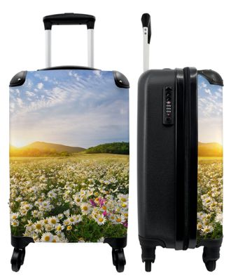 Koffer - Handgepäck - Blumen - Sonne - Landschaft - Gänseblümchen - Botanisch -