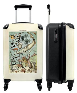 Koffer - Handgepäck - Vintage - Meerestiere - Pflanzen - Korallen - Illustration -
