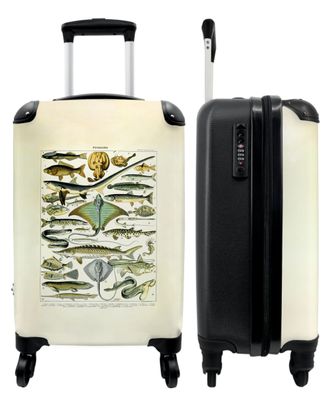 Koffer - Handgepäck - Vintage - Fische - Meerestiere - Adolphe Millot - Kunst -