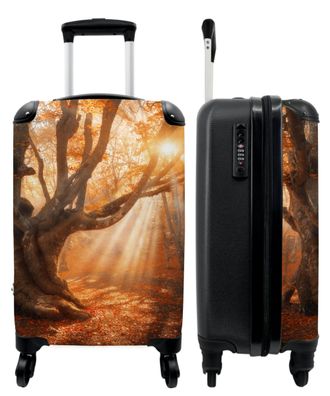 Koffer - Handgepäck - Bäume - Sonne - Herbst - Wald - Trolley - Rollkoffer - Kleine