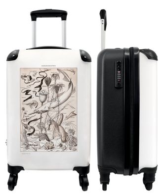 Koffer - Handgepäck - Jahrgang - Illustration - Fische - Pflanzen - Millot - Trolley