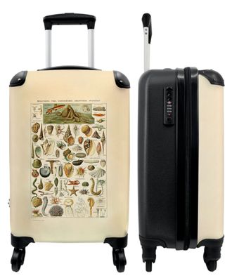 Koffer - Handgepäck - Vintage - Muscheln - Meerestiere - Illustration - Trolley -