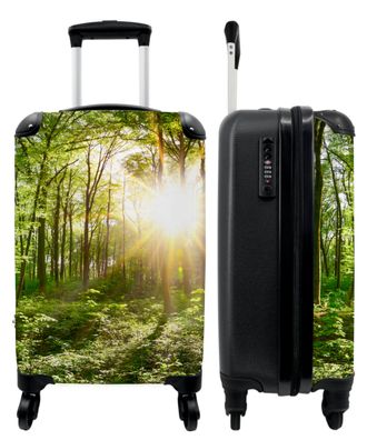 Koffer - Handgepäck - Wald - Bäume - Pflanzen - Sonne - Frühling - Trolley -