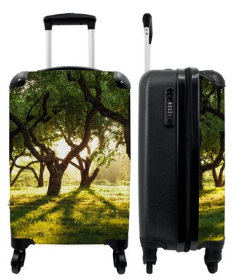 Koffer - Handgepäck - Sonne - Bäume - Grün - Wald - Natur - Trolley - Rollkoffer -