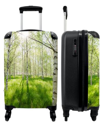 Koffer - Handgepäck - Bäume - Birke - Gras - Sonne - Frühling - Trolley - Rollkoffer