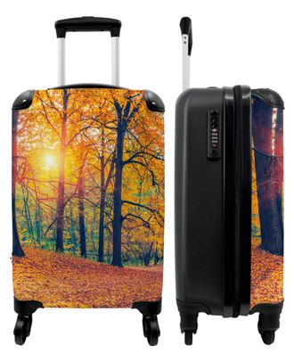 Koffer - Handgepäck - Herbst - Sonne - Orange - Bäume - Wald - Natur - Trolley -