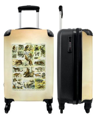 Koffer - Handgepäck - Jahrgang - Tiere - Bär - Illustration - Millot - Trolley -