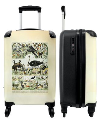 Koffer - Handgepäck - Vögel - Natur - Vintage - Illustration - Kunst - Trolley -