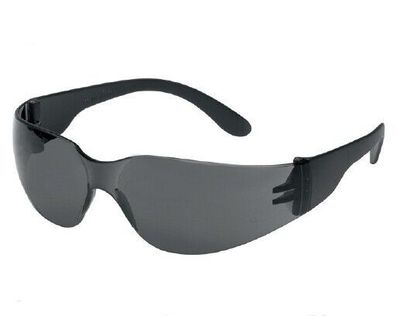 Schutzbrille Champ klar und grau getönt Arbeitsschutz Brille für Arbeit 350001