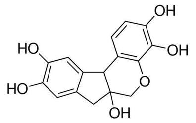 Hämatoxylin (reinst)