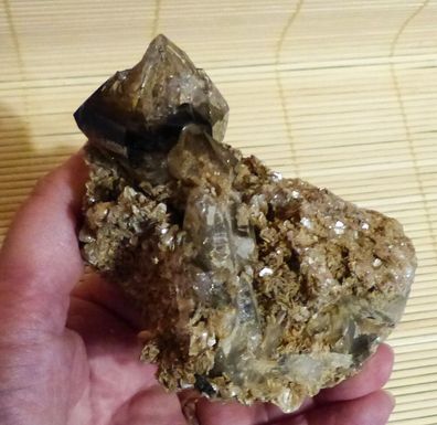 Rauchquarz-Stufe auf Muskovit Elestial - Zepter-/ Skelettquarz 376 g; 10,1 cm