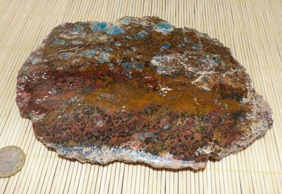 Seltene und riesige Platte - Apatit Kristalle in Muttergestein 20,6 cm; 687 g