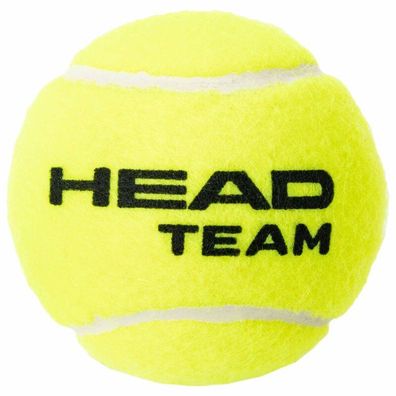 Head Team x 4 Tennisbälle