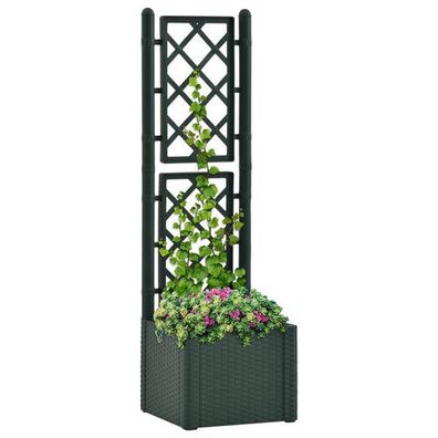 Garten-Hochbeet mit Spalier und Selbstbewässerungssystem Grün
