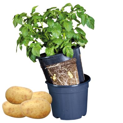 Esschert Design Kartoffel Zwiebel Pflanz Topf Blumen Garten Pflanzer Anpflanzen
