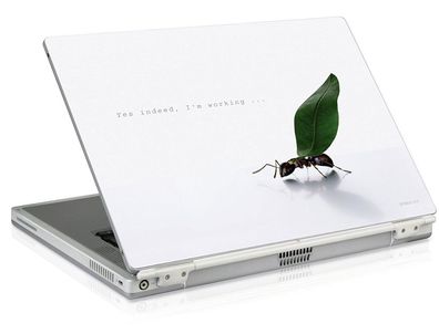 SL Notebook Skin 15,6" 16" 16,4" Aufkleber Working Ant Laptop Sticker Folie Case