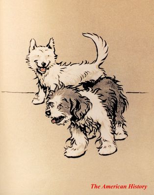 3247 Aldin, Cecil (1870-1935) - The Bobtail Puppy Book 1914 - Pups together