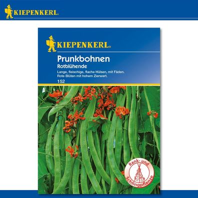 Kiepenkerl Prunkbohnen Rotblühende Samenkörner für 6 m Saatgut Qualität Gemüse