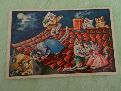 Arthur F Krüger AFKH Postkarte AK Katzen auf dem Dach wie gemalt RAR !