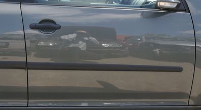 VW Golf 5 V 1K Tür vorne rechts Beifahrertür 4/5-Türer grau grün LA6Q Türblatt