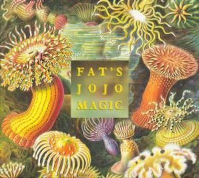 CD: Fat´s Jojo Magic And The Flying Cornettos (2004) Mother of Pearl FAT2004