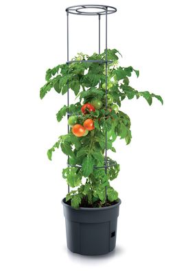 Tomaten Pflanz Topf m. Rankhilfe - 153x29 cm - Rank Gewächs Kübel Anwuchs Hilfe