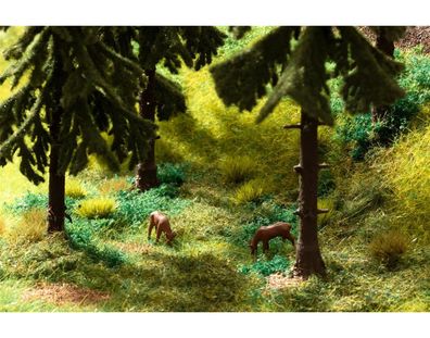 NOCH 60772 Vegetations-Startset "Wald"