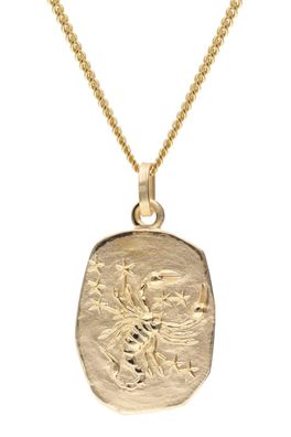 trendor Schmuck Skorpion Sternzeichen Gold 333 mit vergoldeter Silberkette 15404-11
