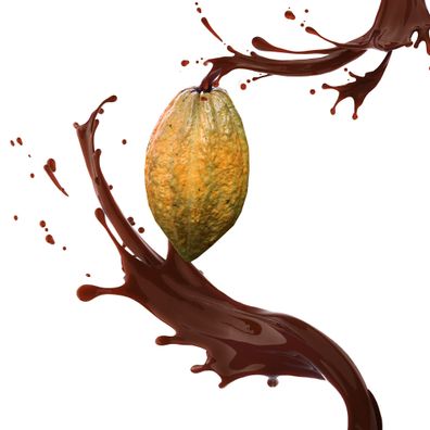 Kakao Aroma flüssig