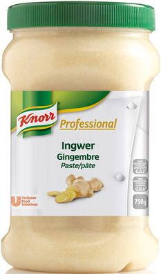 Knorr Professional Gewürzpaste Ingwer
