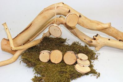 Birkenscheiben mit 4mm Loch / Holzscheiben Baumscheiben Astscheiben Birkenscheib