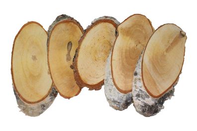 Ovale Birkenscheiben Baumscheiben Birkenscheibe Holzscheibe Holzscheiben