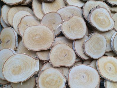 Baumscheiben Birkenscheiben von ca.2 cm -11 cm Holzscheiben Baumscheibe