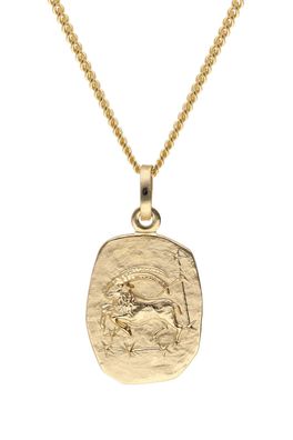 trendor Schmuck Steinbock Sternzeichen Gold 585 mit vergoldeter Silberkette 15436-01
