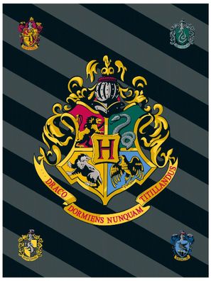 Wizarding World Harry Potter Fleecedecke Hogwarts Wappen Rabe Schlange Löwe Dach