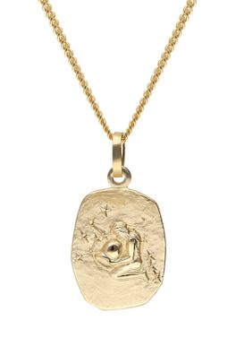 trendor Schmuck Wassermann Sternzeichen Gold 585 mit vergoldeter Silberkette 15436-0